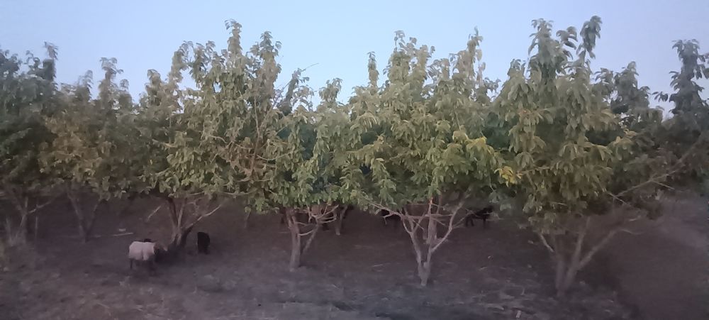 Продаётся участок