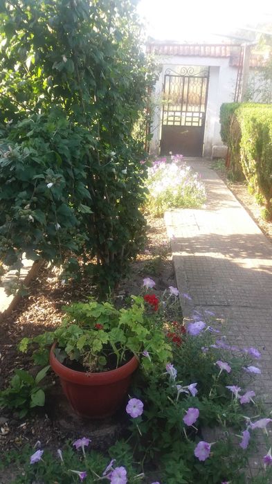 Продава се Къща в с. Бутан, Област Враца - 360 кв.м за 190 €/кв.м - Снимка #5