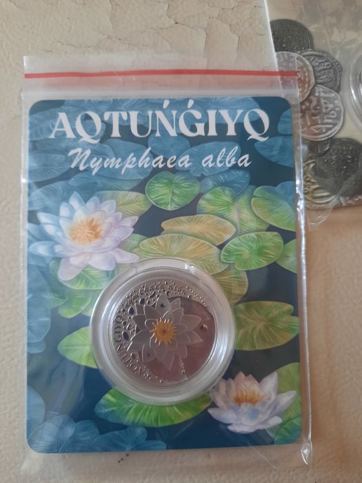 Кувшинка. Казахстан.