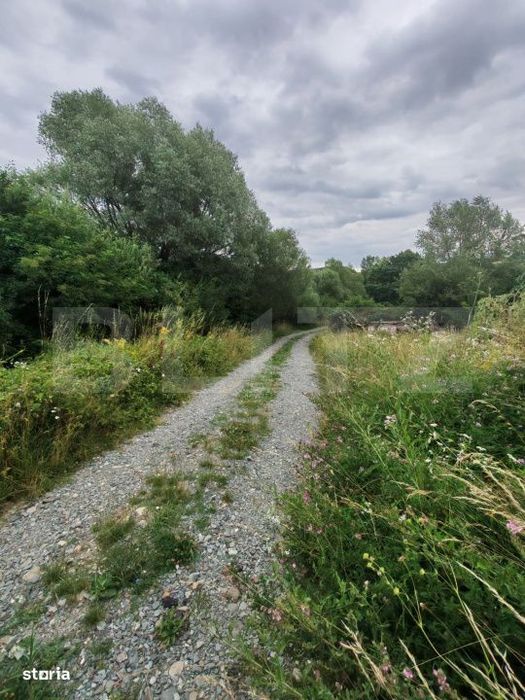 Teren  de vanzare – 20 ari, zona Sigmir