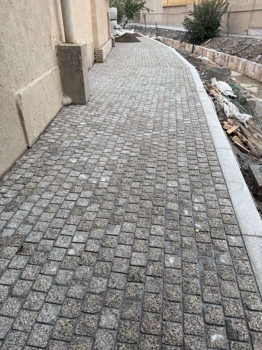 Bruchatka Koksaroy kolitiy