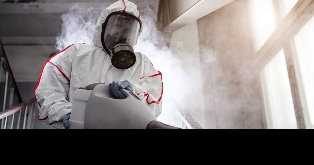 Дезинфекция дезинсекция дератизация Обработка помещений от насекомых К ...