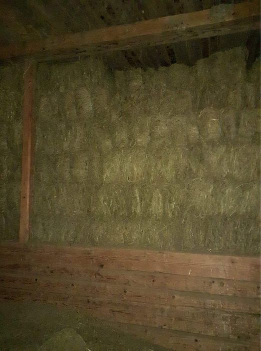 Baloți de fân 16-20 kg