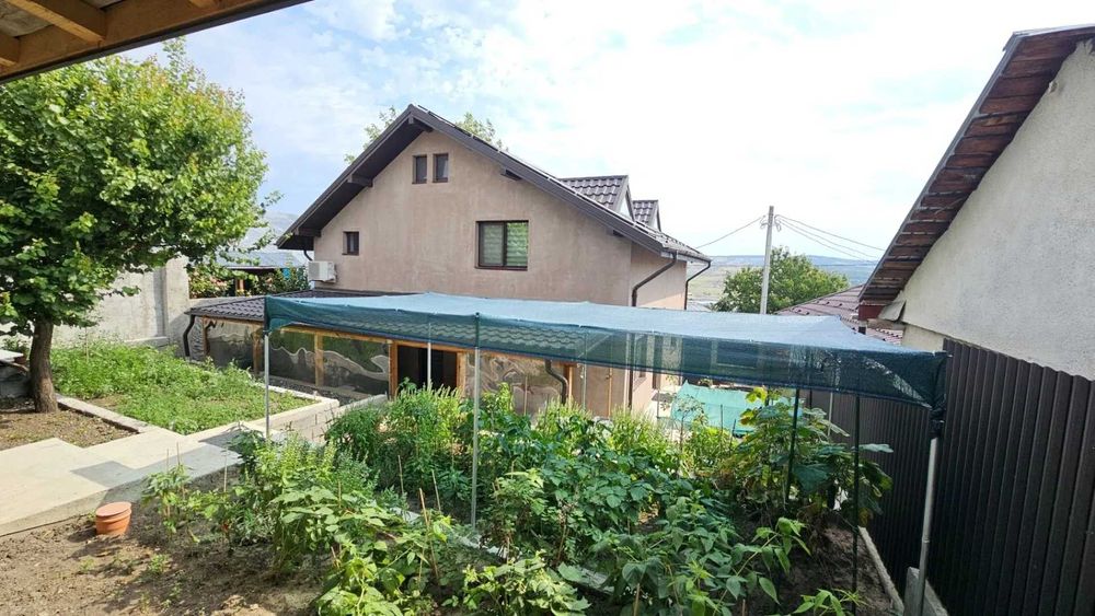 apartamente de inchiriat vaslui