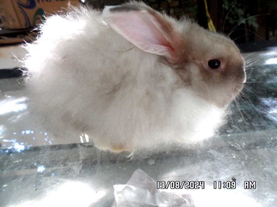 мода разное одежда