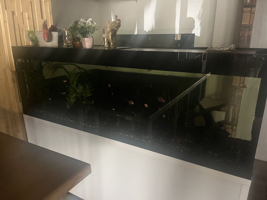 Оборудван аквариум 800л
