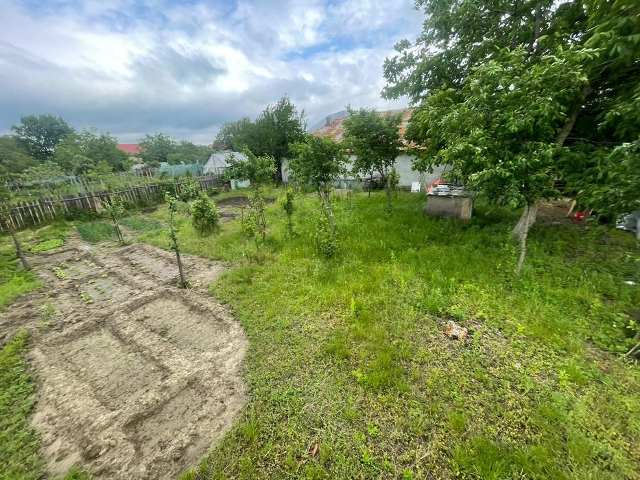 Proprietate deosebita in comuna Cimpeneanca, Vrancea
