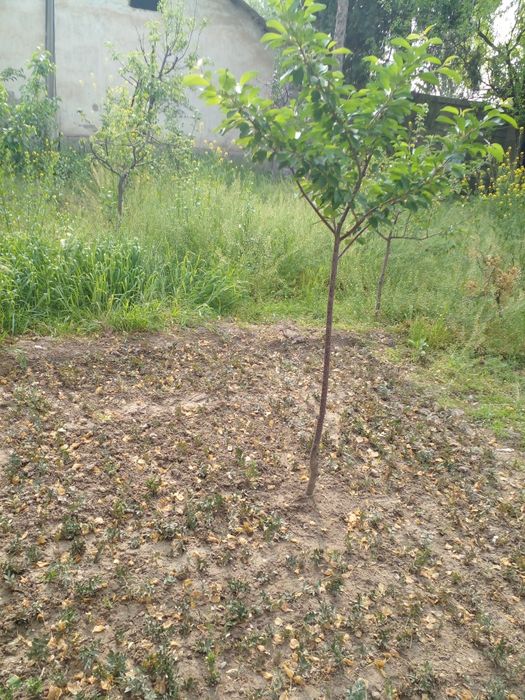 Земельный участок в городе.