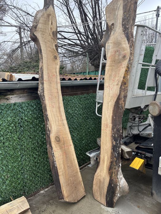 Янове от орех сух материал