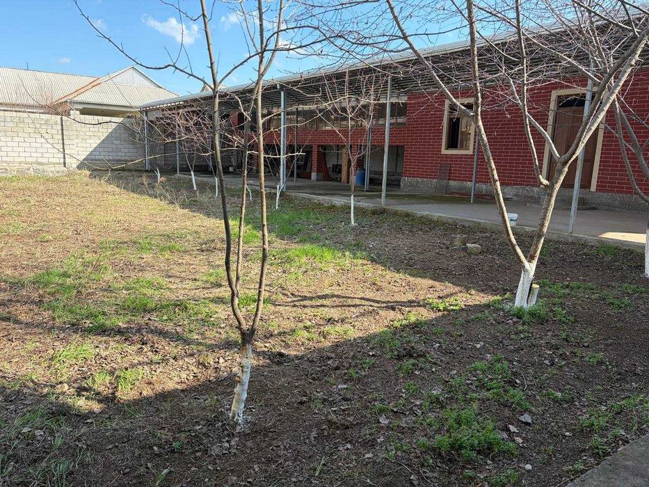 Сирдарёда Арзон Ховли уй