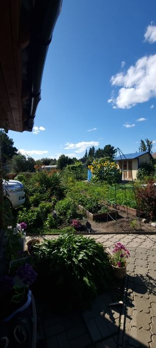 Дача  общество "звёздочка"