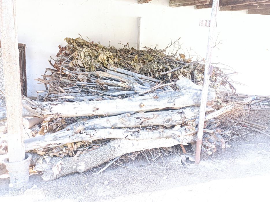 Утин сотилади ,енгок дарахтиники