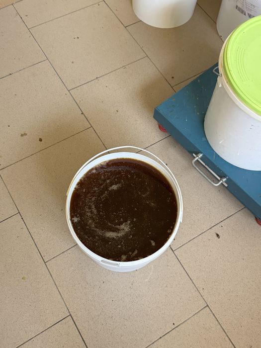 Miere poliflora de munte  2025