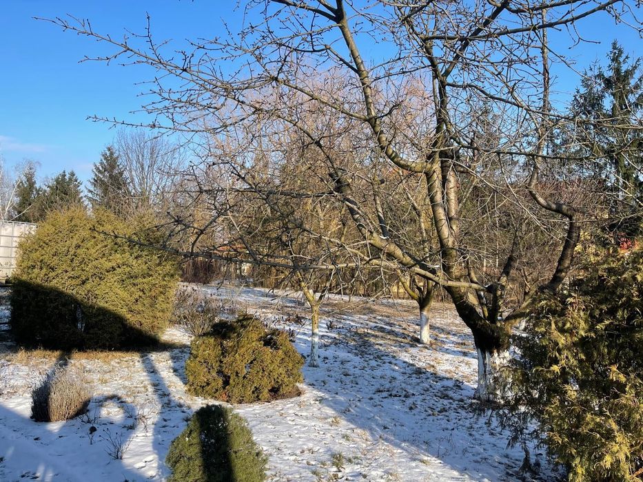 TEREN INTRAVILAN 3475mp + CASA 2003 - VASLUI - zona Moara Grecilor