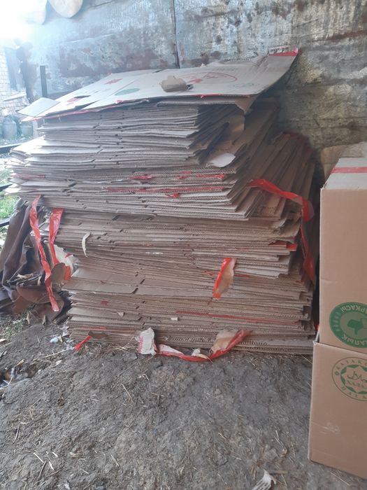 Продам коробки под яйцо