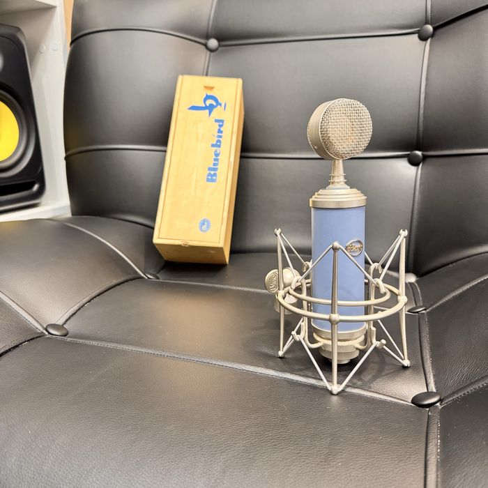 Blue Bluebird студийный микрофон