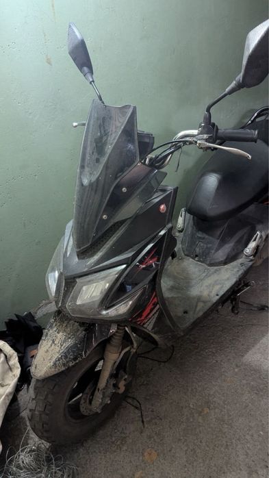 BWS Samuraii r2