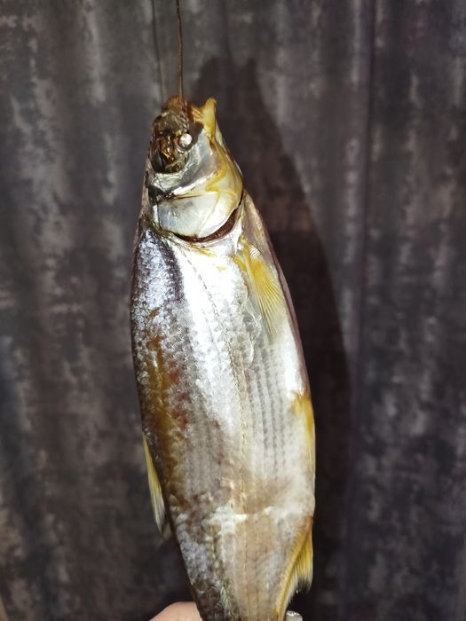 Продам сушёную рыбу
