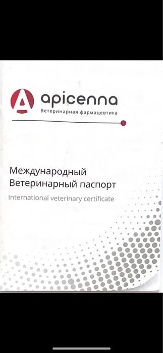 Немецкая овчарка