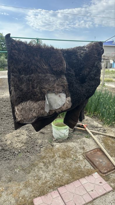 Продаю натуральный пальто (тон)