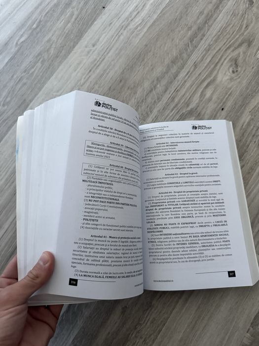 MANUAL Admitere Școli de Poliție, Jandarmerie și Frontieră 2025 – Ediția II