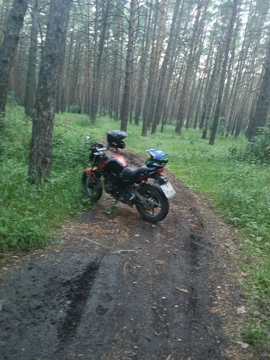 Продам рейсер нитро 250 на учёте стоит всё работает отлично