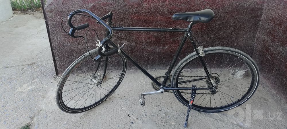 Rassiyskiy gonchik velik sotiladi