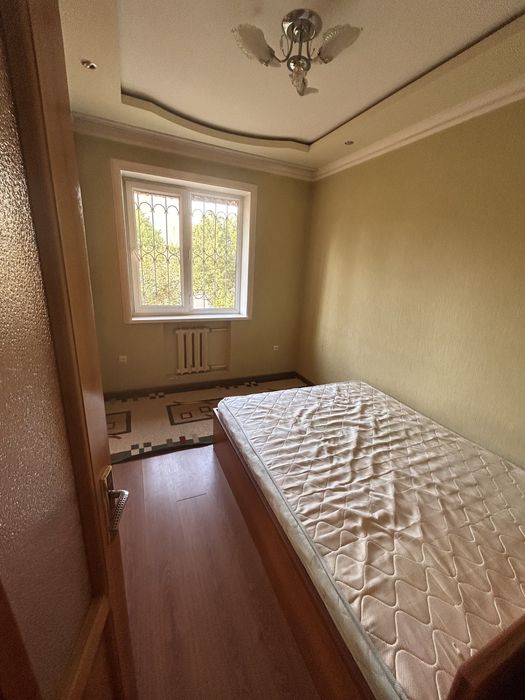 Аренда Кора камиш 1/2 Сой бойи