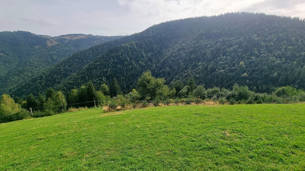 Vand teren intravilan in Măguri Răcătău