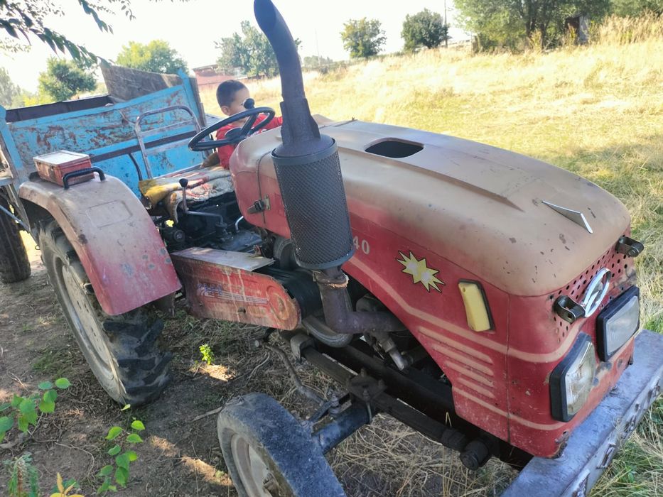 Трактор 24 ат Қапал ауылында