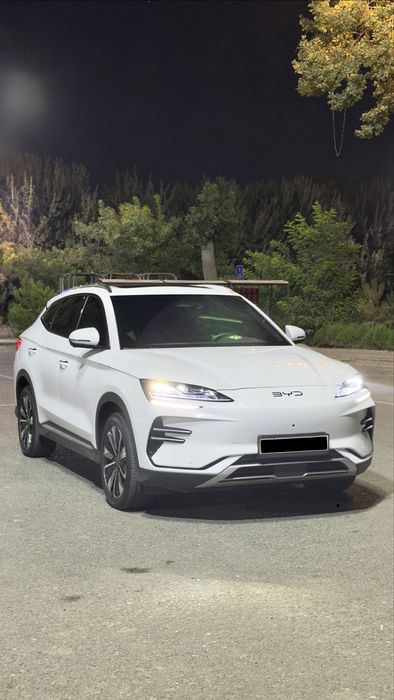 Byd champion 605
