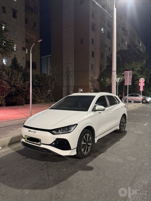 Byd e2 luxury 2024