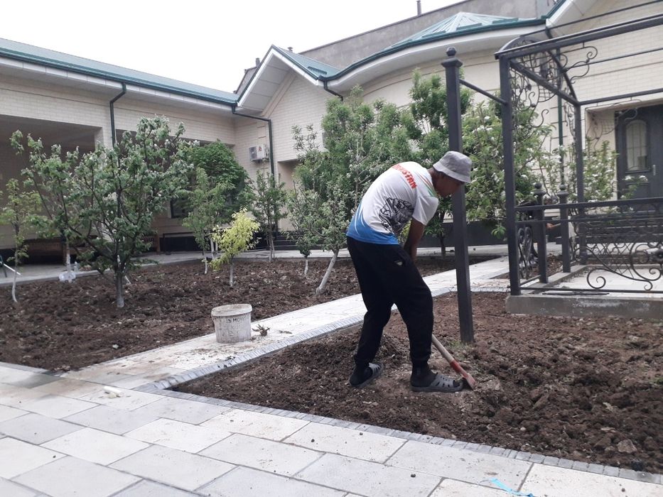 Sifatli gazon ekamiz 100% garantiya