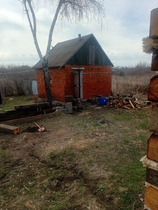 Продам землянику