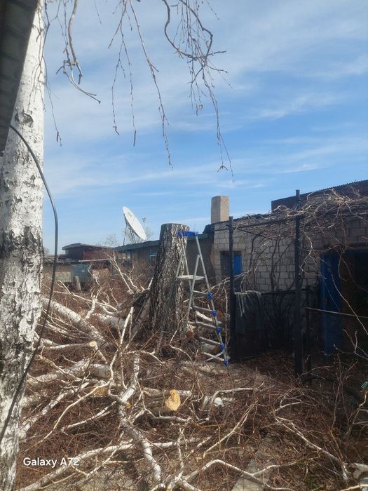 Спил деревьев профессионально