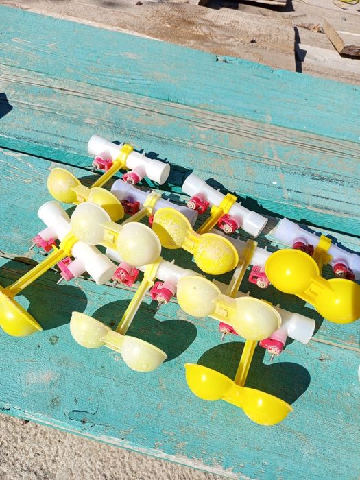 Поилка для птенцов