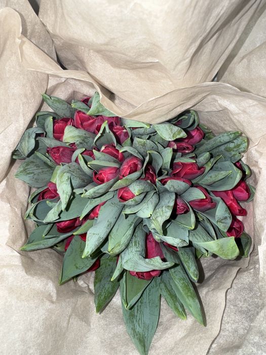 Тюльпаны не дорого