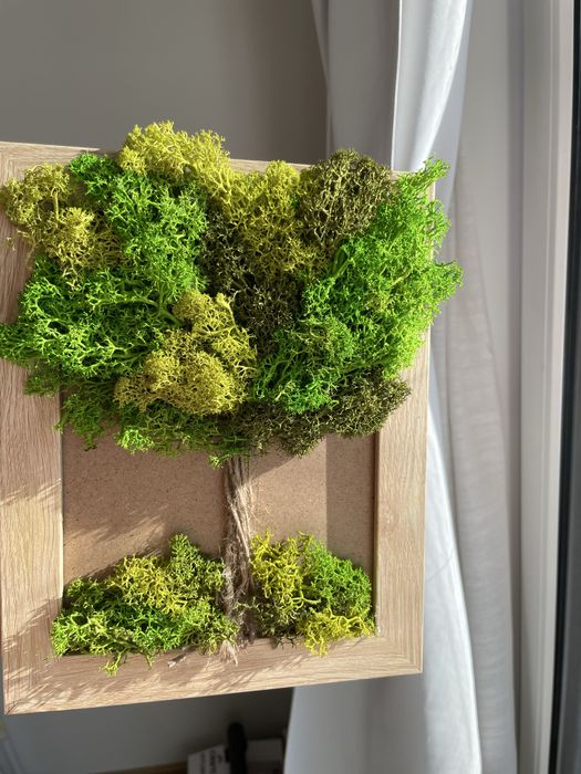 Картини и часовници със скандинавски мъх