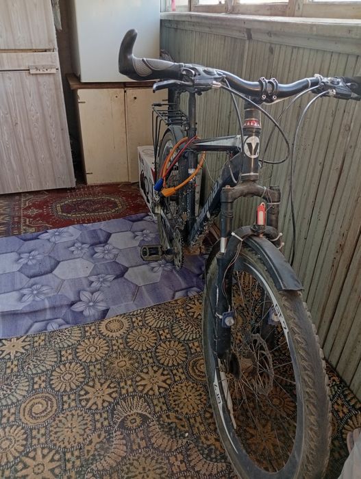 Velik xolati yaxshi