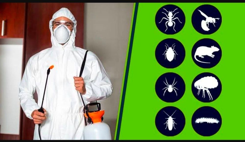 |Дизинфекция| |Дизинсекция| |Дератизация|