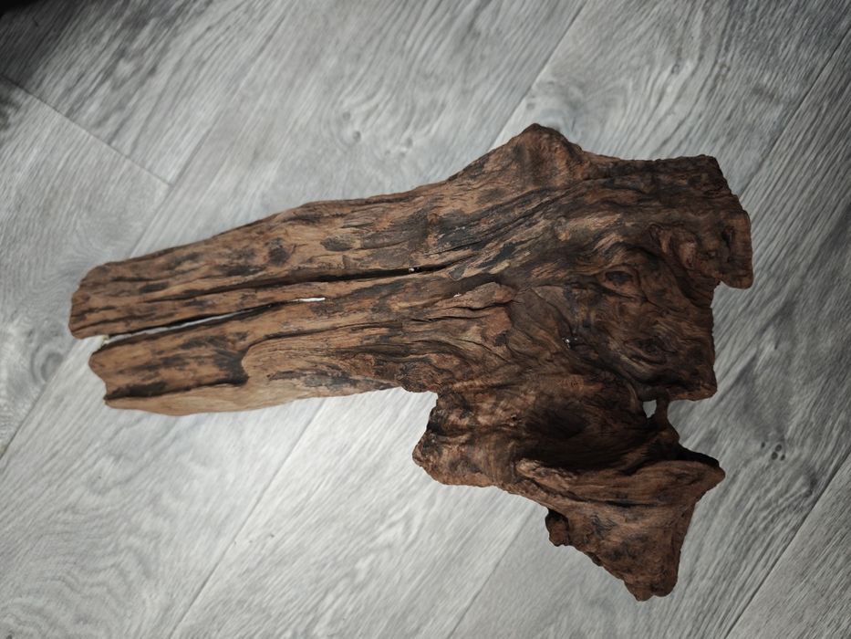 Аквариумные рыбы