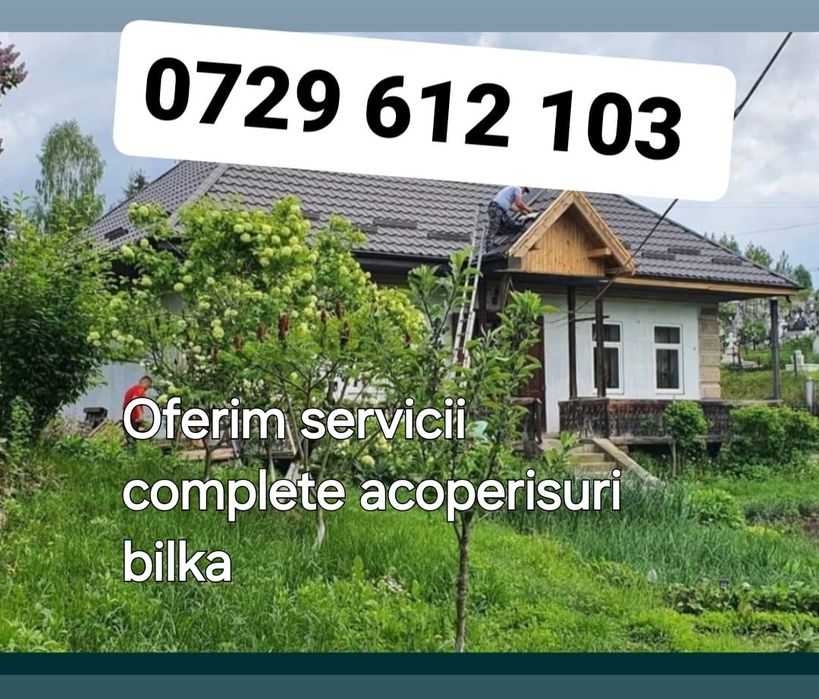 Reparatii acoperisuri