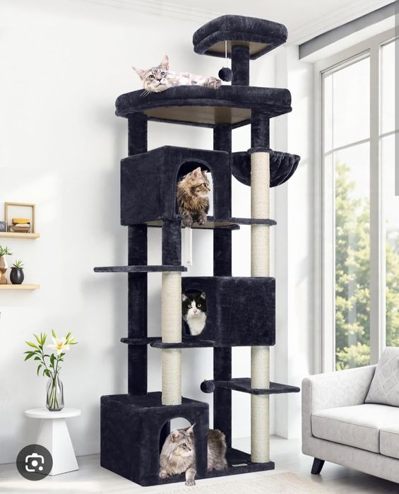 Mushuk uychasi xarxil turdagi kota va kichik uychalar