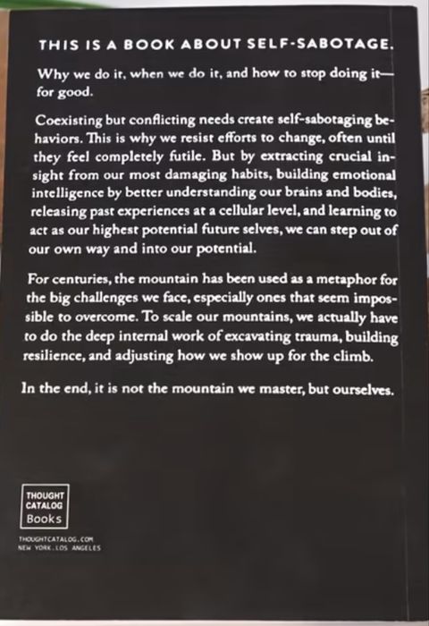 Книга The Mountain is you.