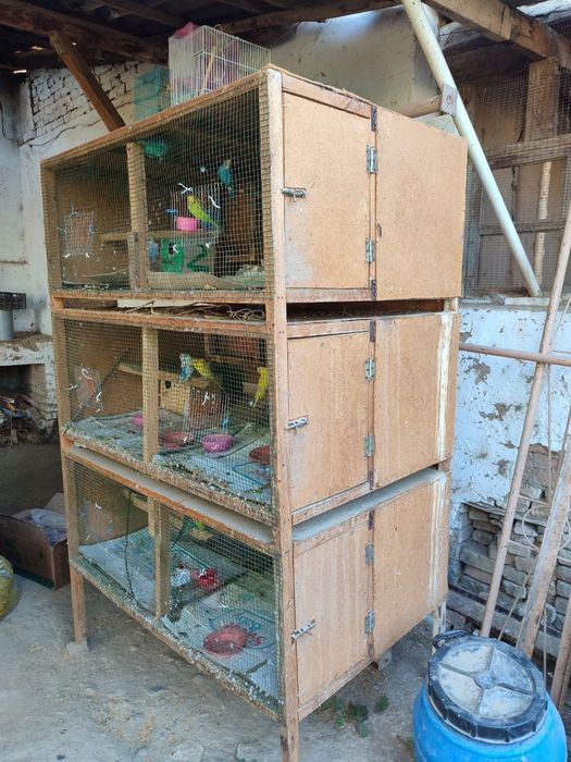 Qafaslar sotiladi iktasi 400000 Yana kelishiladi