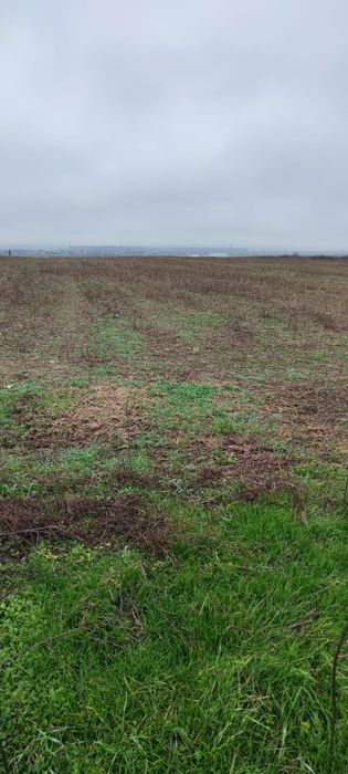 Vand teren agricol in  zona halta zlatarei spre voicesti 4000mp