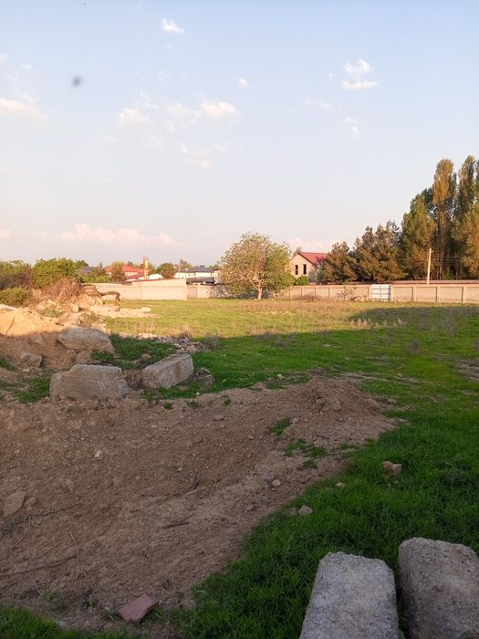 Кибрай элитные махалла, ориентир санатория : Ботаника: чистый воздух