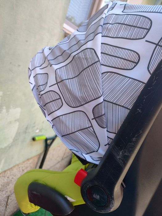 Cangaro Rachel столче