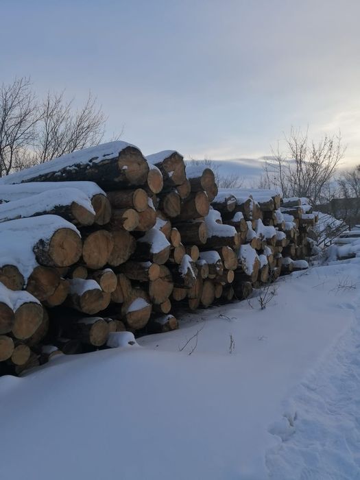 Продам шпалы 1тип и 2тип