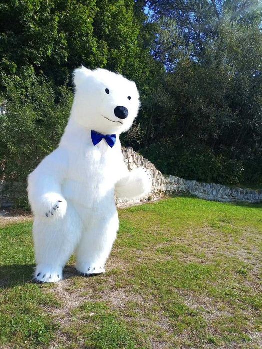 Оформление ва Мишкалар ва Айиклар